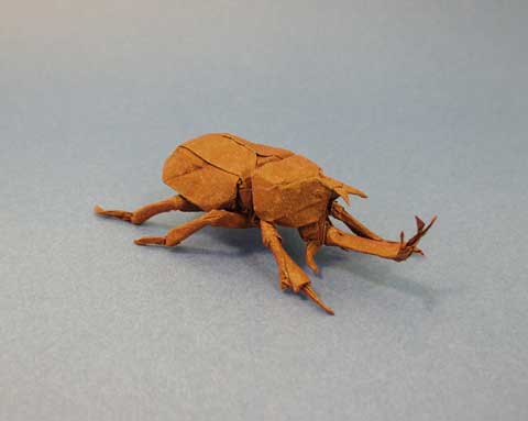 カブトムシ 2 0 Samurai Helmet Beetle