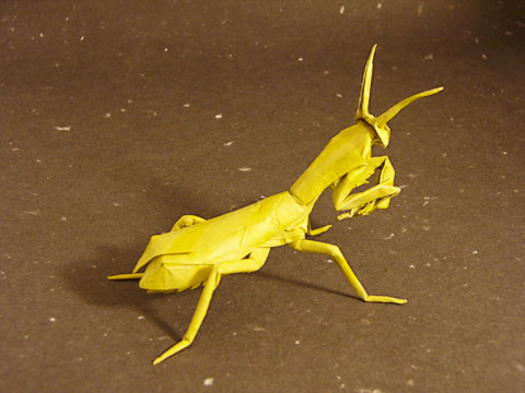 カマキリ Praying Mantis